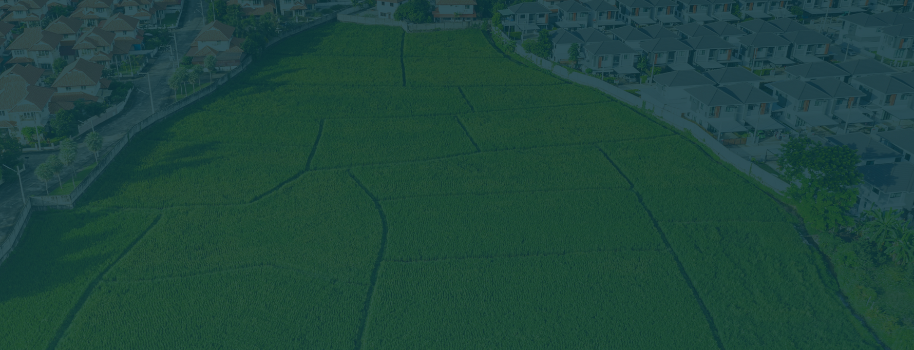 El-Ad Group visual data 8